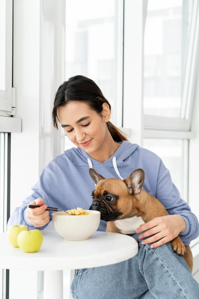 Dog Not Eating 2