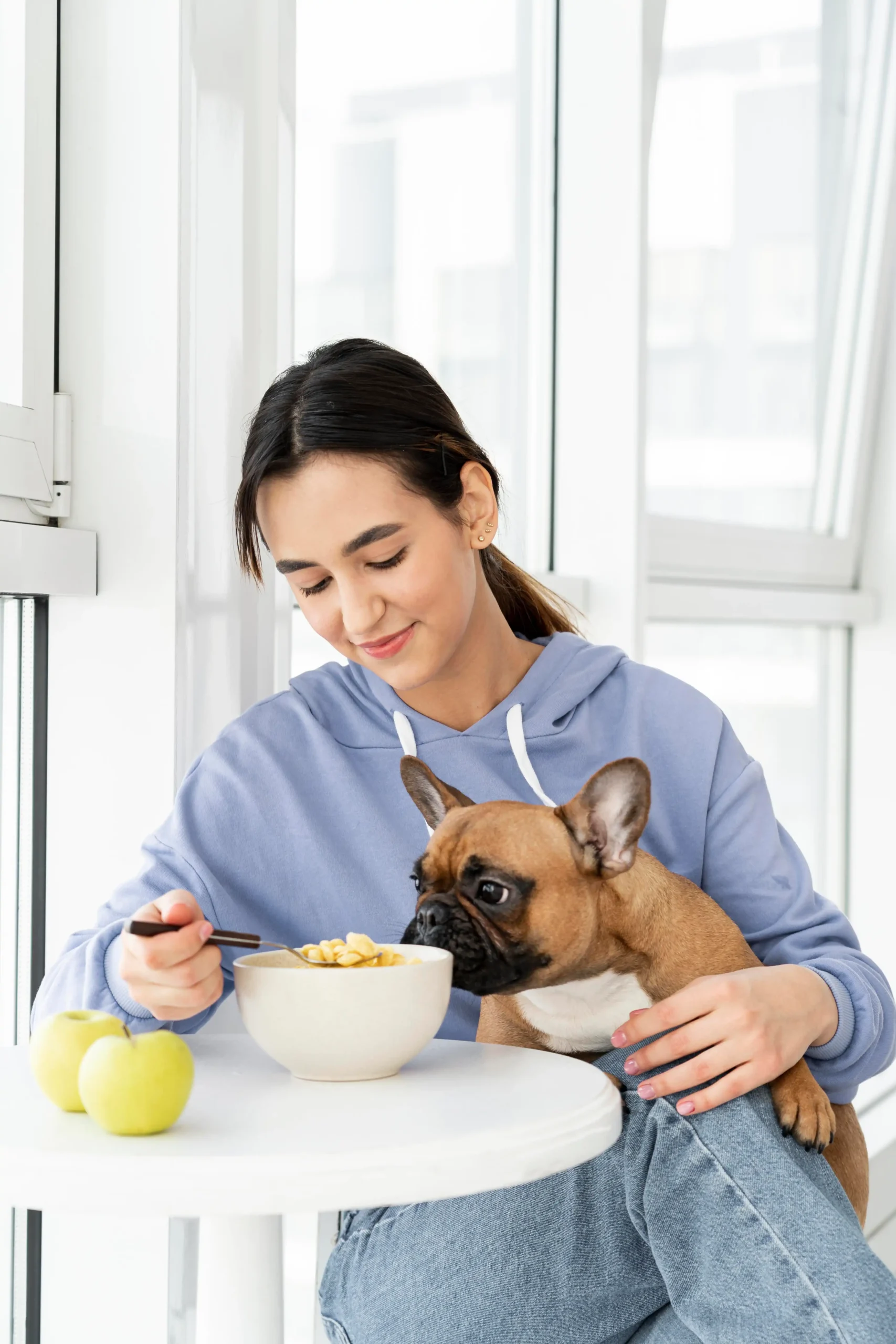 Dog refusing food - clinical appetite loss assessment guide