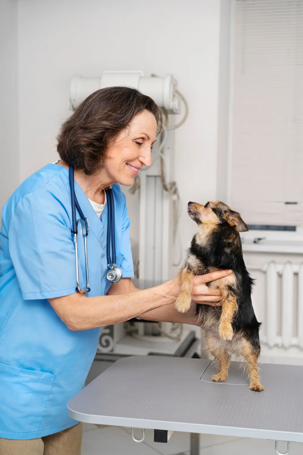 Dog showing signs requiring emergency veterinary care