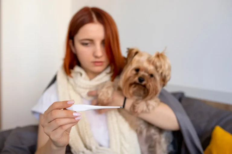 Dog Fever Symptoms 1