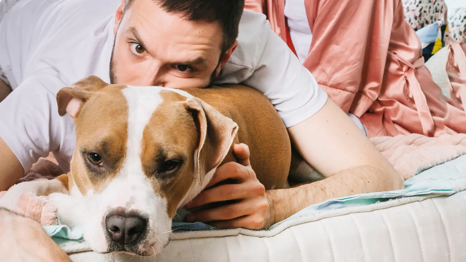 Pet owner using Veterinary AI to assess dog fever symptoms