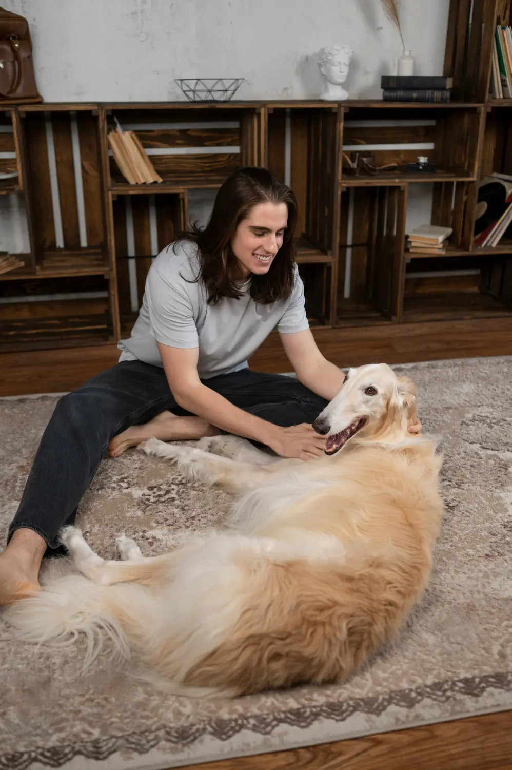 Dog lying down unable to move showing signs of immobility requiring clinical assessment
