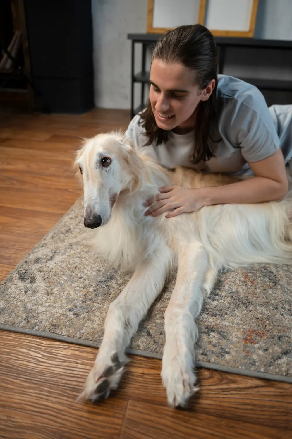 Dog lying down unable to move showing signs of paralysis or severe injury needing emergency veterinary care