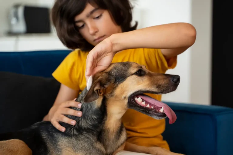 Dog Scratching Ears 1