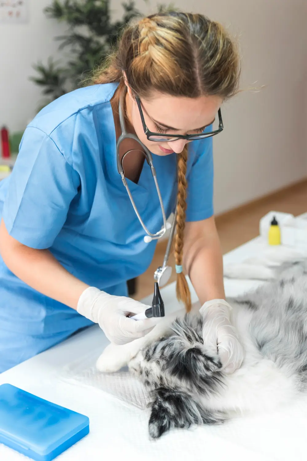 Dog showing signs of seizure while sleeping needing emergency veterinary care